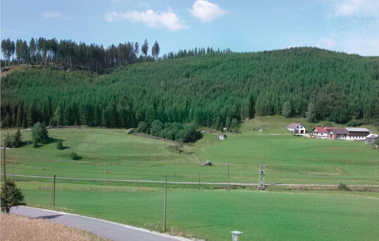 Ferienwohnung - Waldviertel Barnkopf Exterior foto